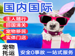 屯溪航空快递国际宠物托运 【国
